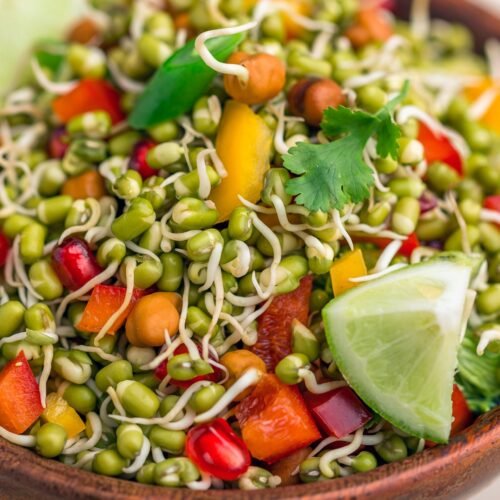 Healthy Sprouts Salad Recipe: A Refreshing and Nutritious Delight