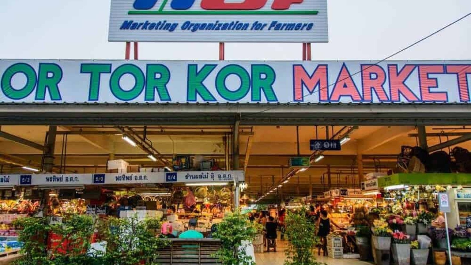 Or Tor Kor Market Bangkok